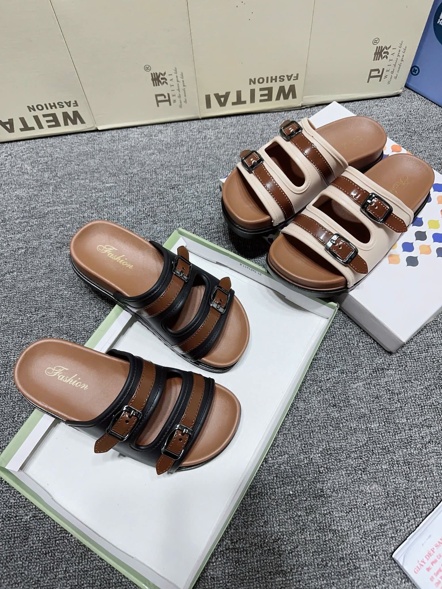 6112852.jpg