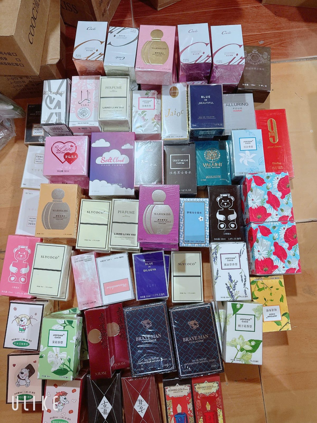 vietnine-1777436832676-911082830.jpg