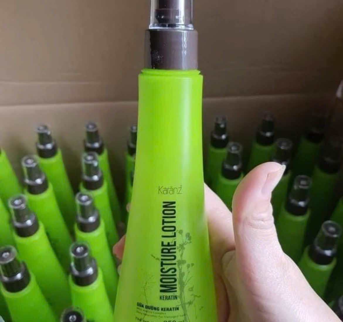 vietnine-1777509713754-737010059.jpg